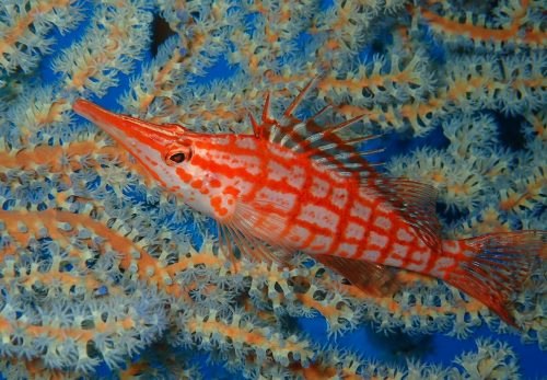 年末年始の営業日